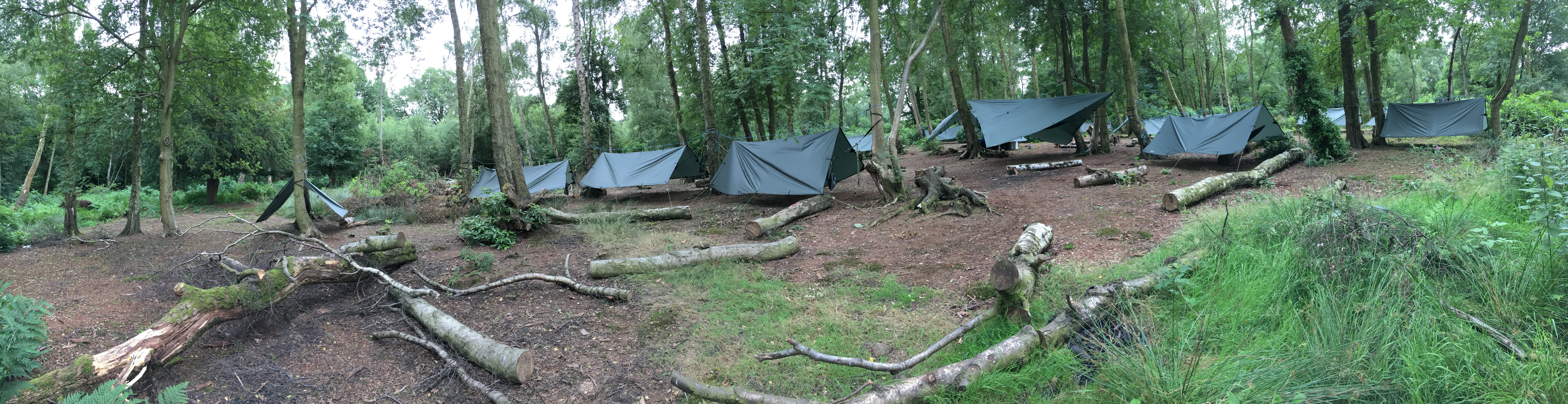camp site hammock shelter tent